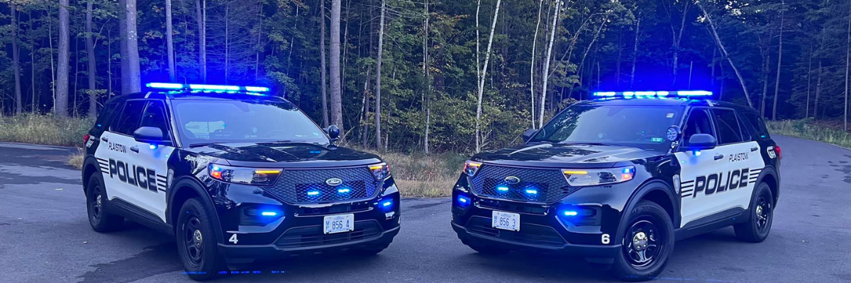 Two PD Cruisers with Blue Lights