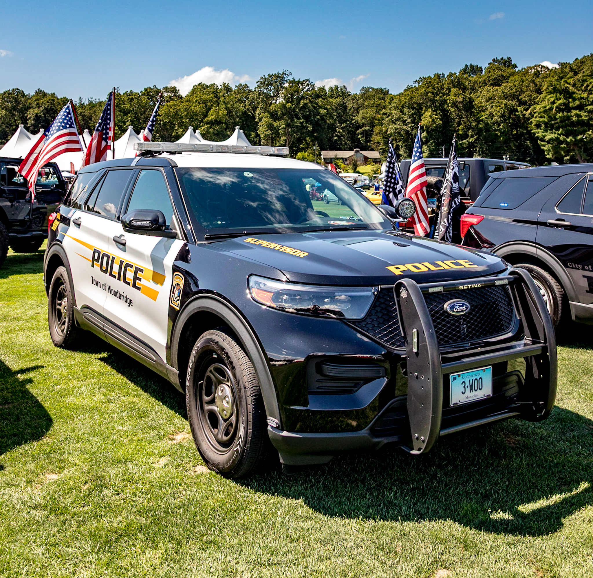 WPD Explorer